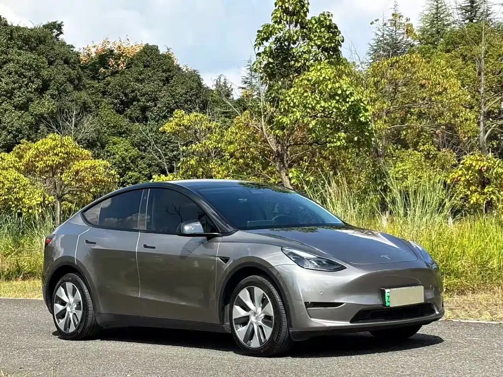 Tesla Model Y — фото 3