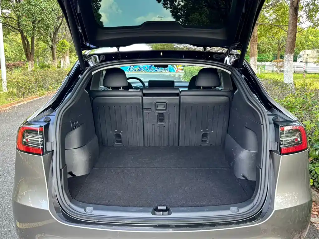 Tesla Model Y — фото 22