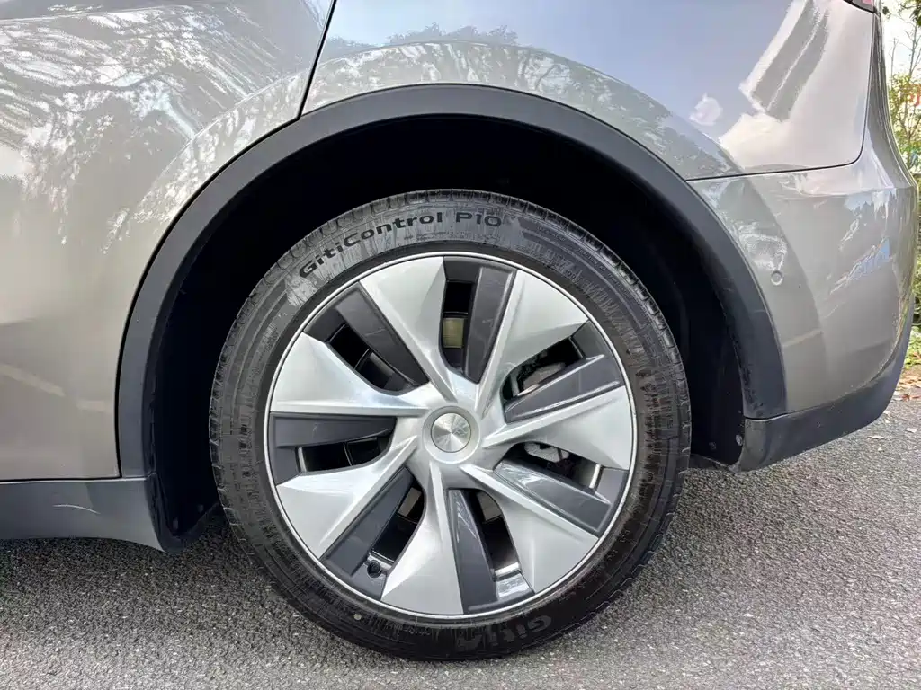 Tesla Model Y — фото 26