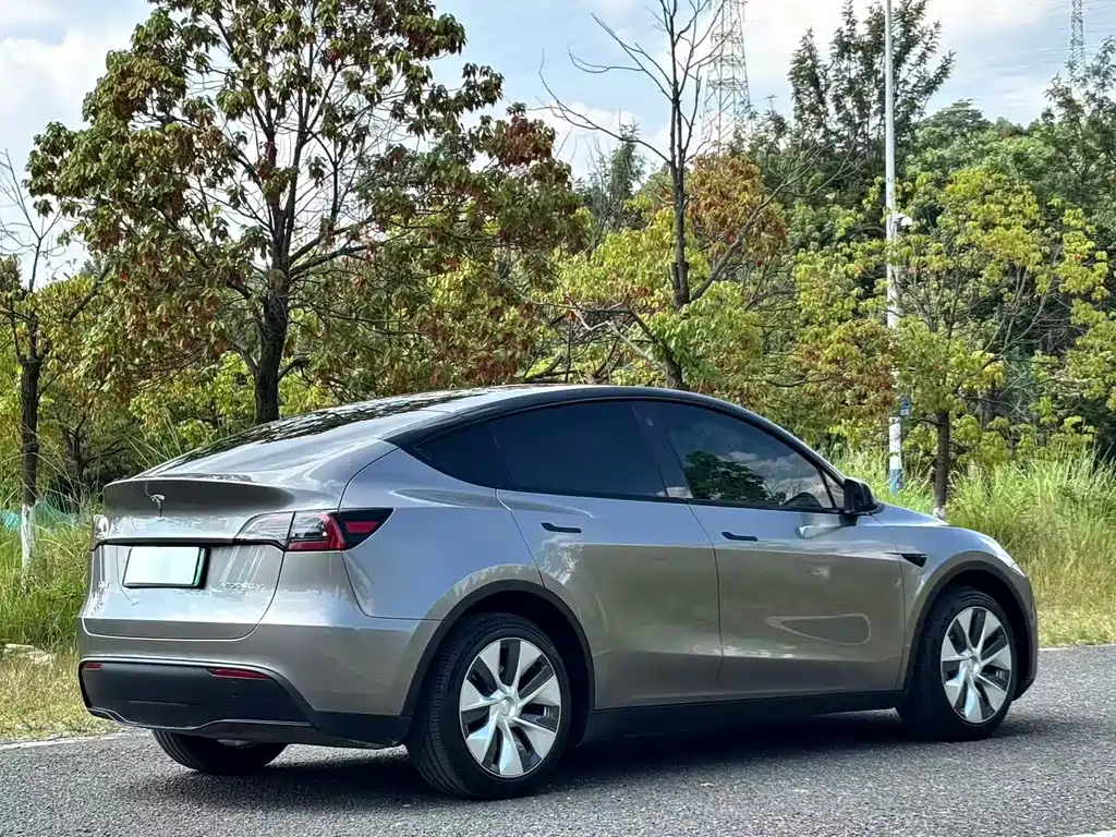 Tesla Model Y — фото 4