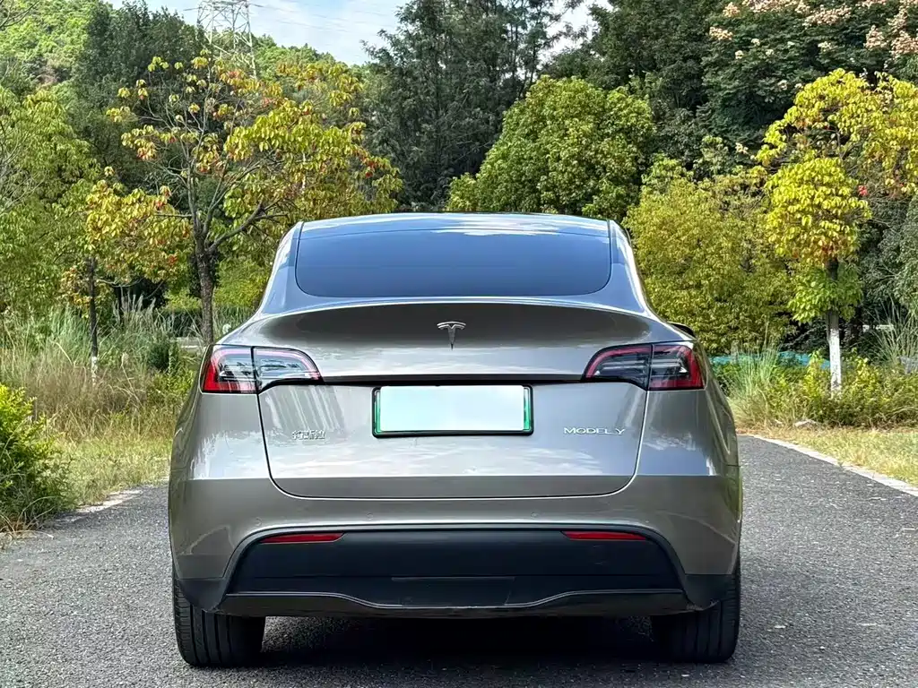 Tesla Model Y — фото 5