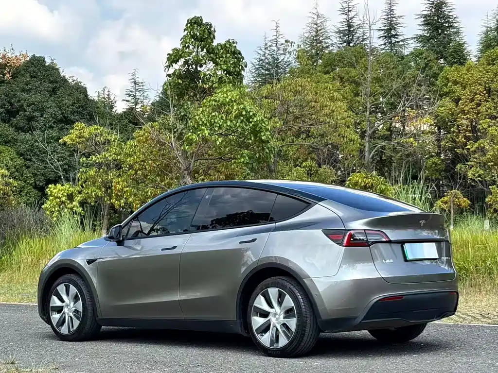 Tesla Model Y — фото 6