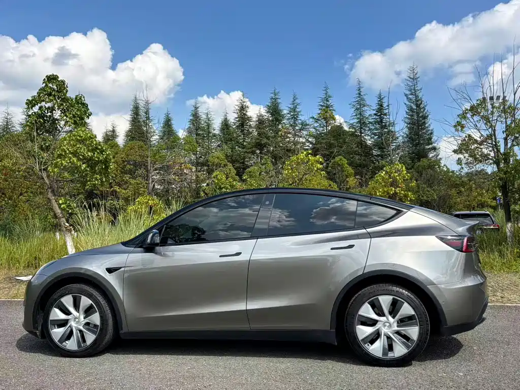 Tesla Model Y — фото 10