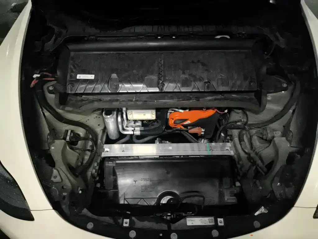 Tesla Model Y — фото 11