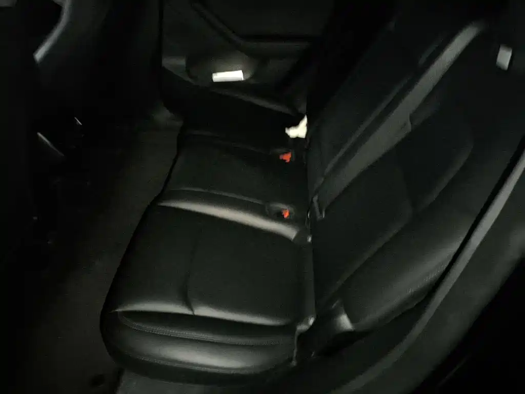 Tesla Model Y — фото 15
