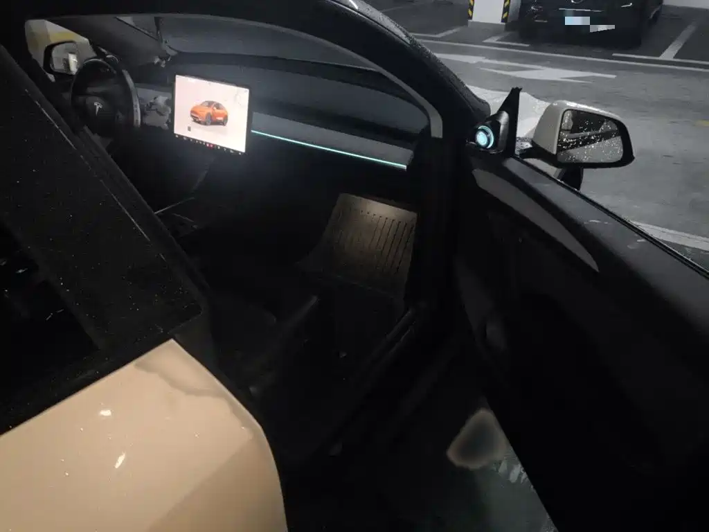 Tesla Model Y — фото 18