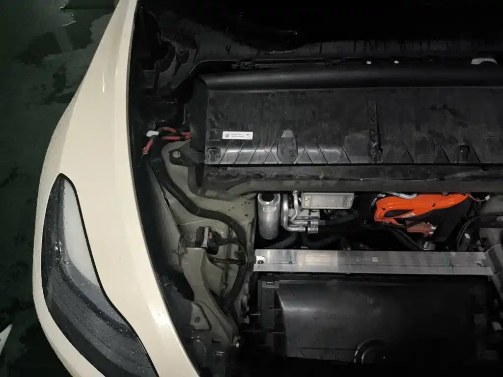 Tesla Model Y — фото 19