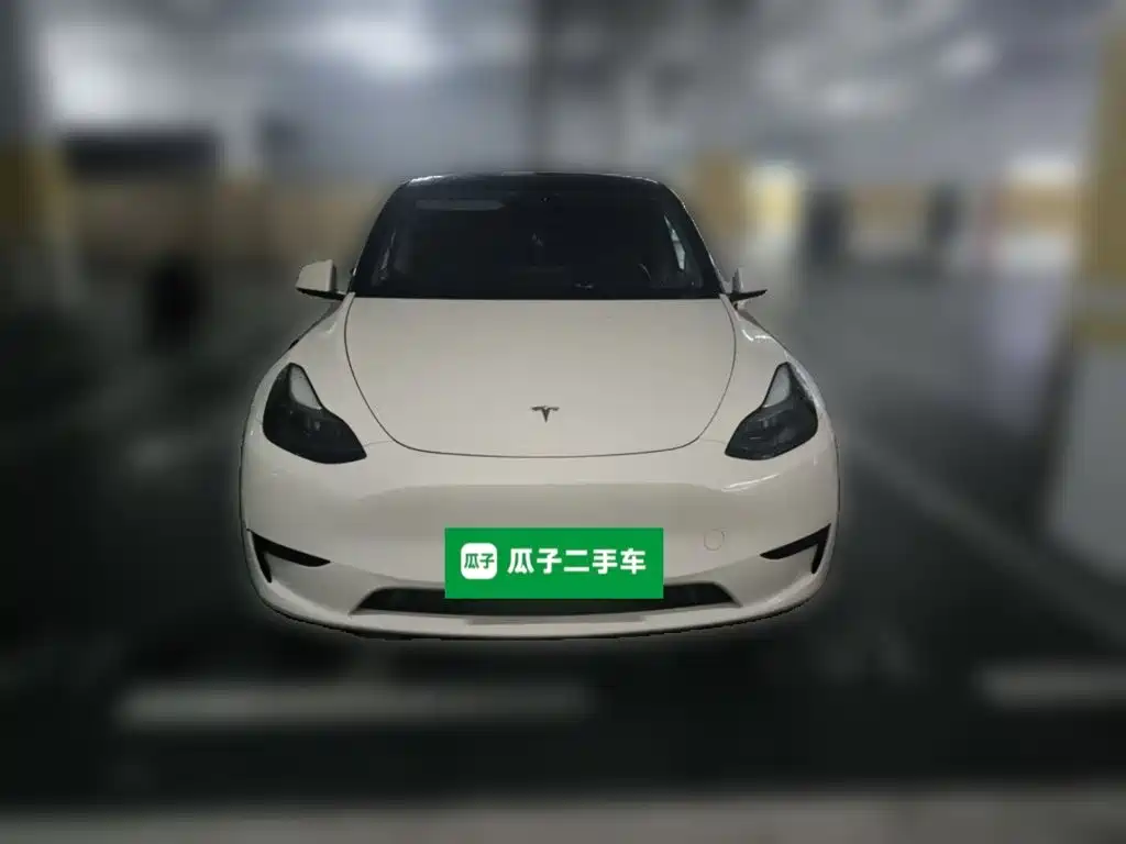 Tesla Model Y — фото 23