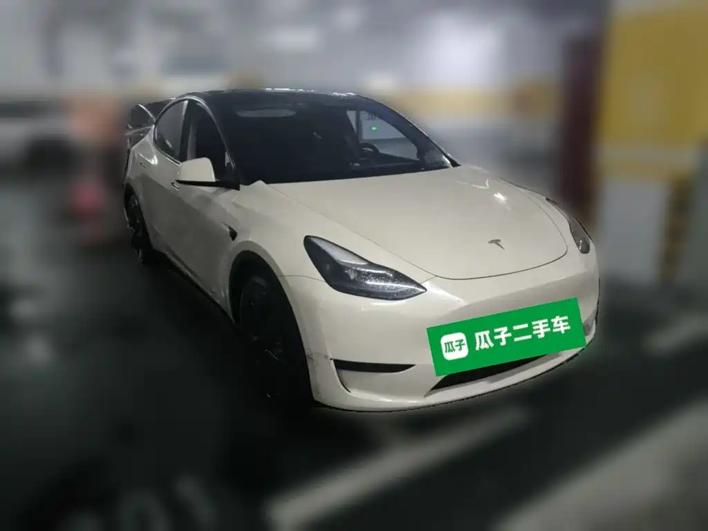 Tesla Model Y — фото 24