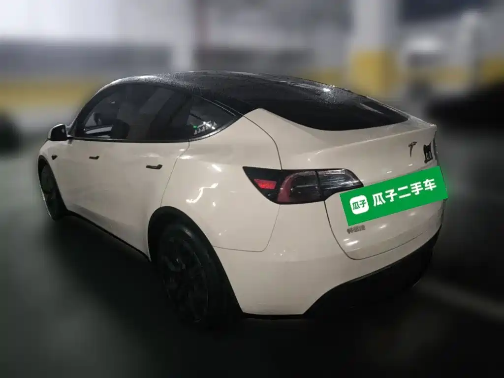 Tesla Model Y — фото 25