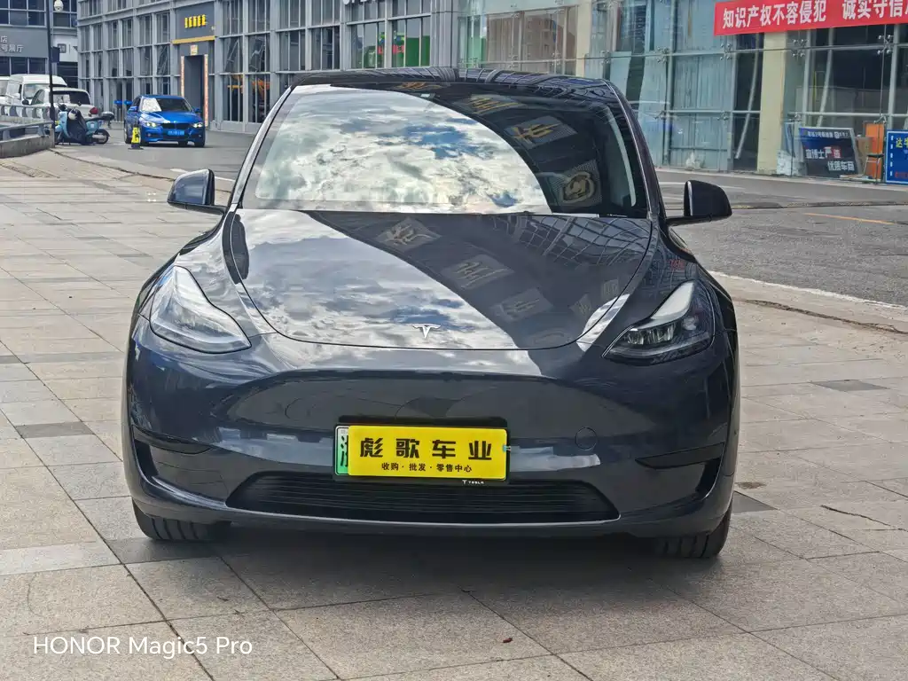 Tesla Model Y — фото 2