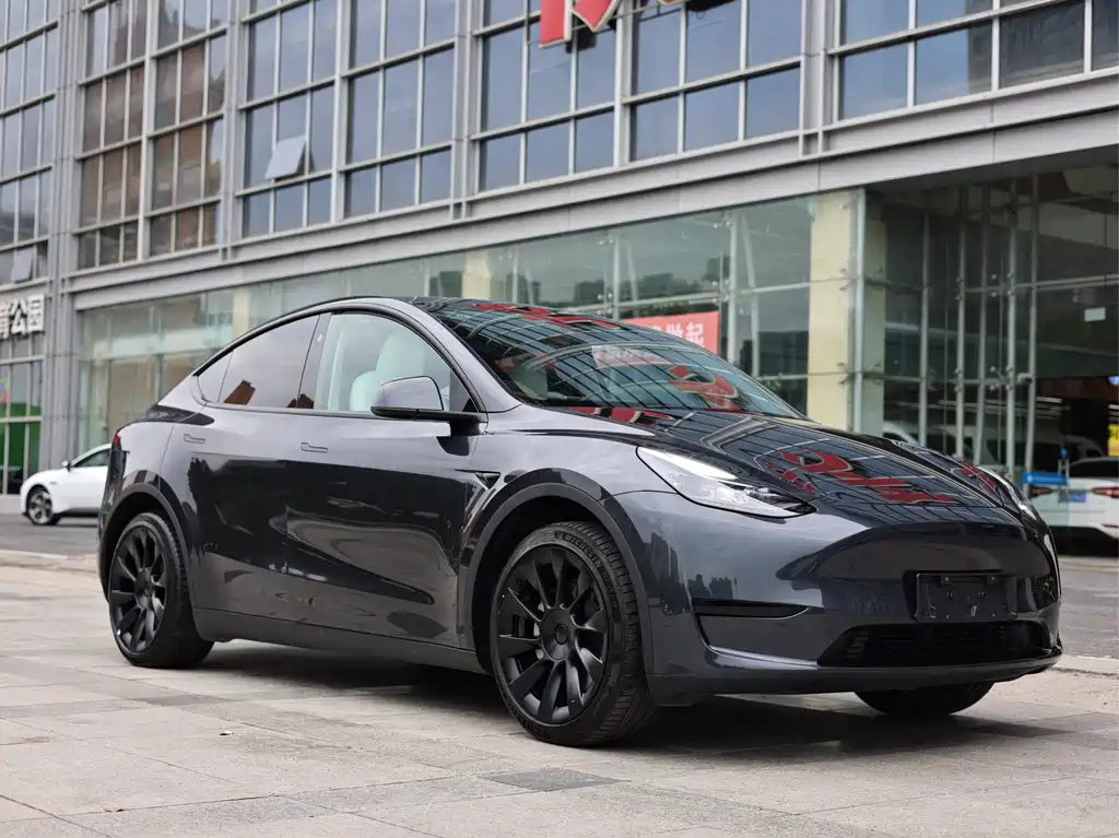 Tesla Model Y — фото 2