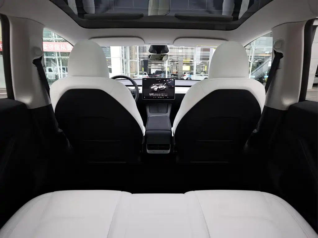 Tesla Model Y — фото 18