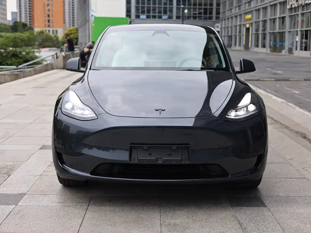 Tesla Model Y — фото 3