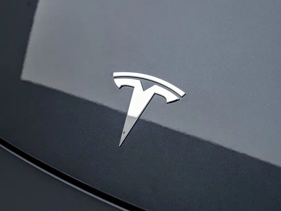 Tesla Model Y — фото 11