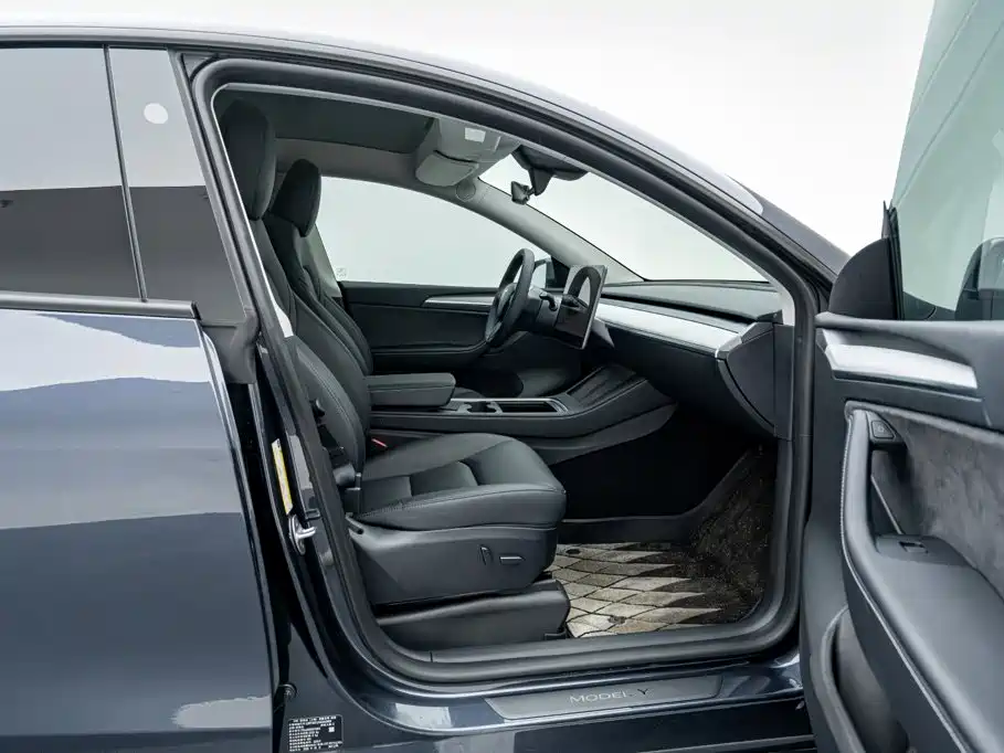 Tesla Model Y — фото 18