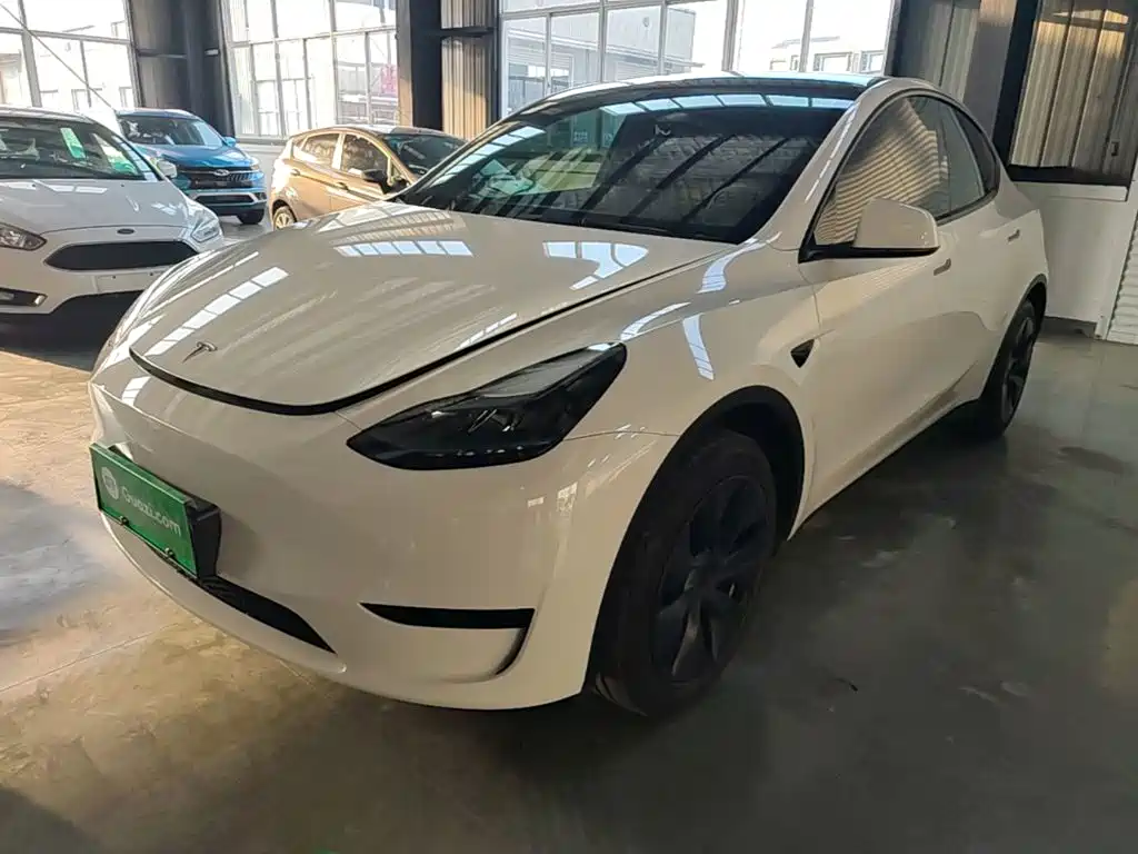 Tesla Model Y — фото 2