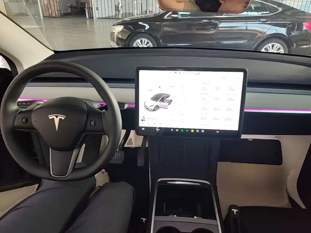 Tesla Model Y — фото 10