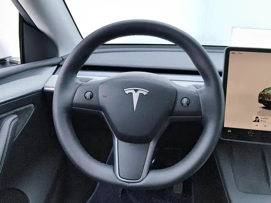 Tesla Model Y — фото 15