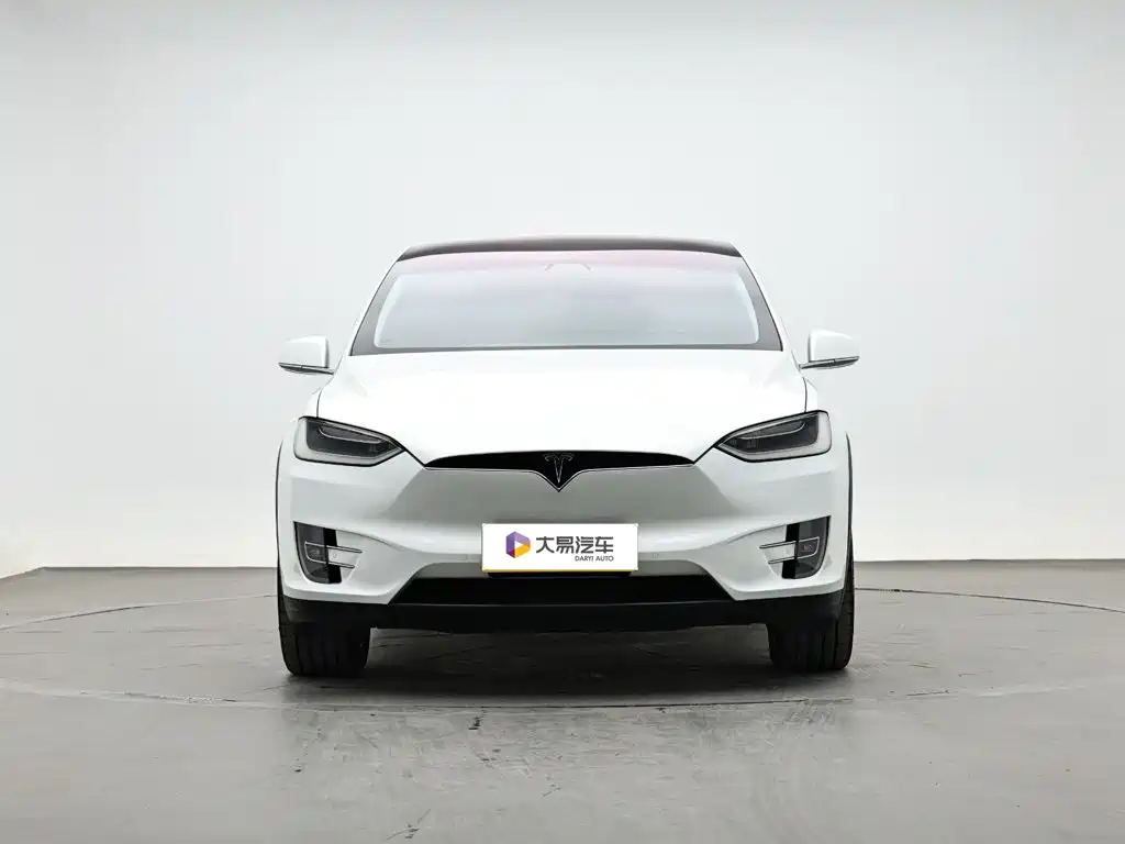 Tesla Model X — фото 2
