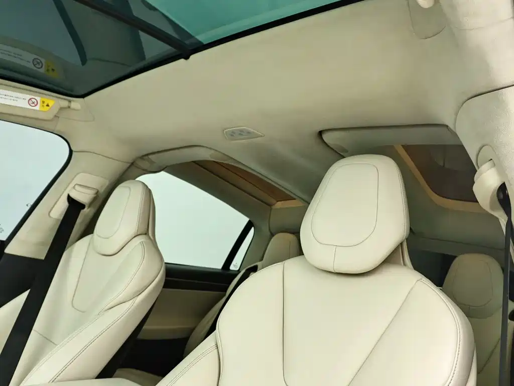 Tesla Model X — фото 13