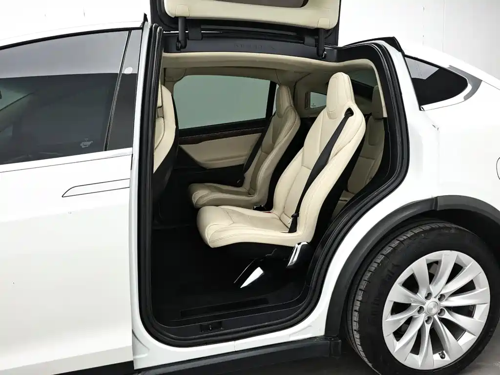 Tesla Model X — фото 14