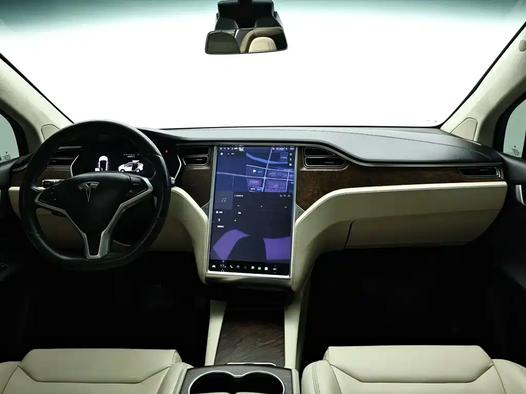 Tesla Model X — фото 15