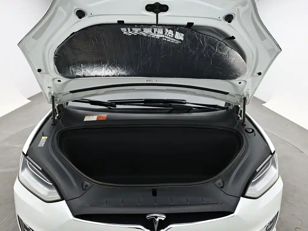 Tesla Model X — фото 17