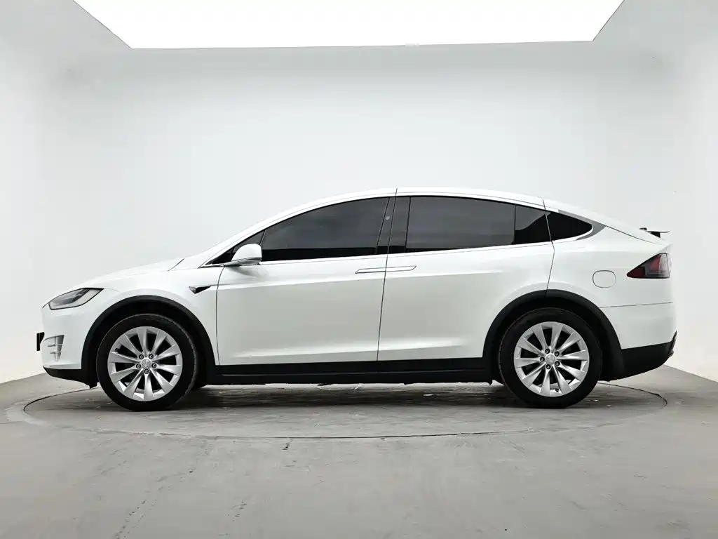 Tesla Model X — фото 6