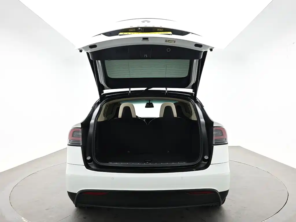 Tesla Model X — фото 8