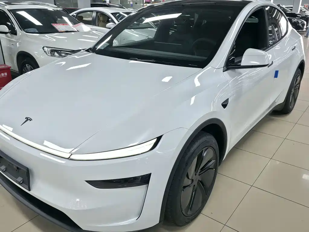 Tesla Model Y — фото 2