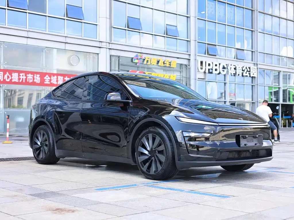Tesla Model Y — фото 3