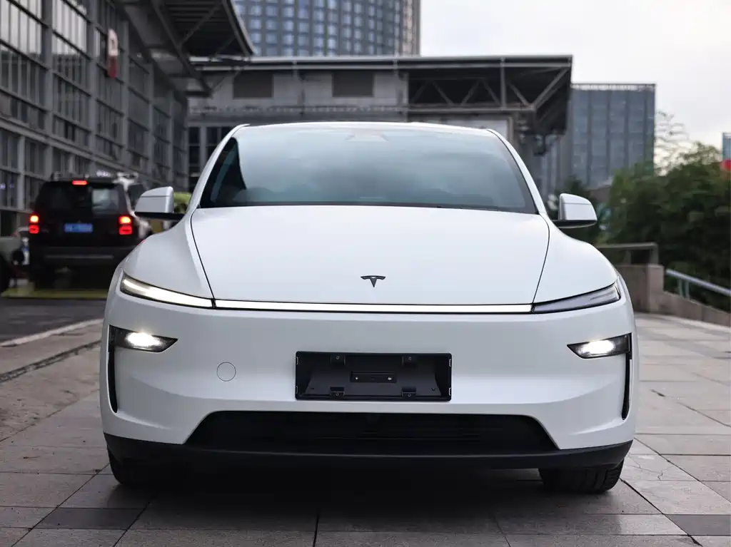 Tesla Model Y — фото 2