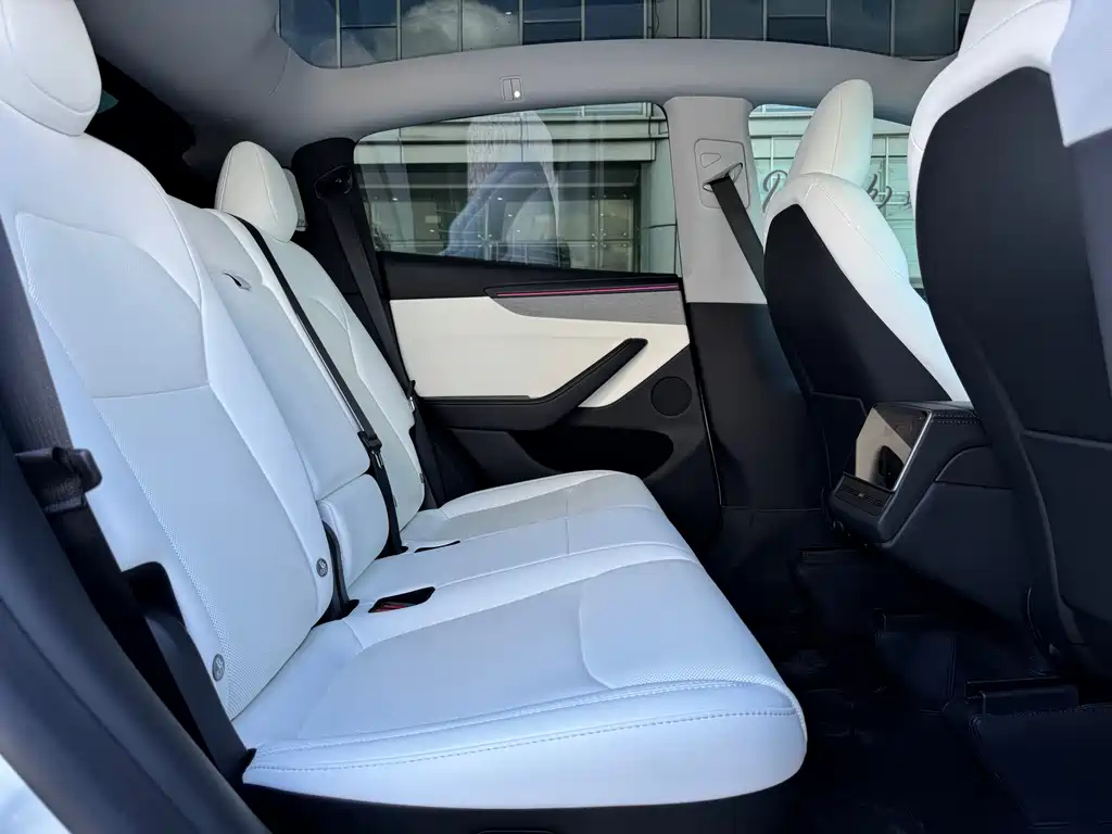 Tesla Model Y — фото 13