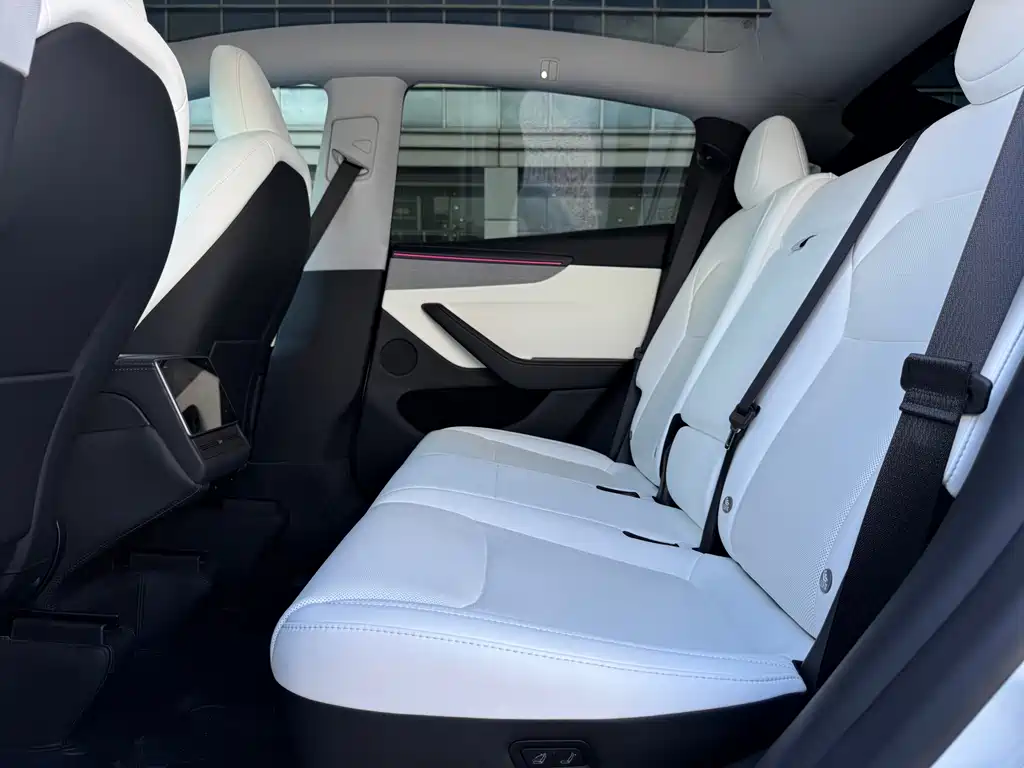 Tesla Model Y — фото 14