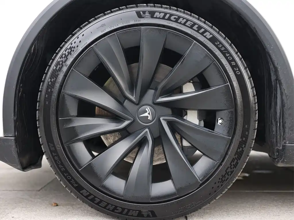 Tesla Model Y — фото 20
