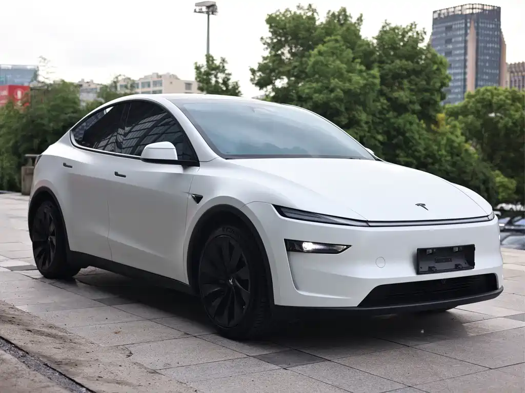 Tesla Model Y — фото 3