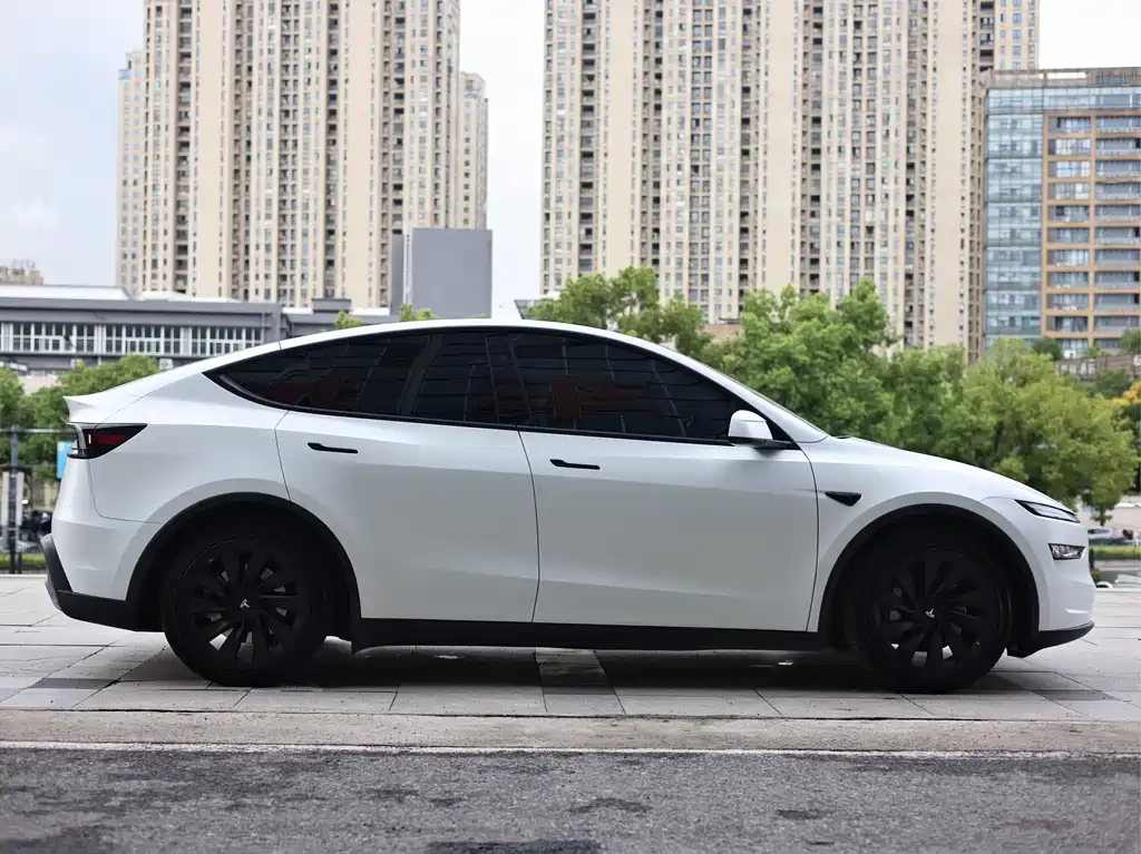 Tesla Model Y — фото 8