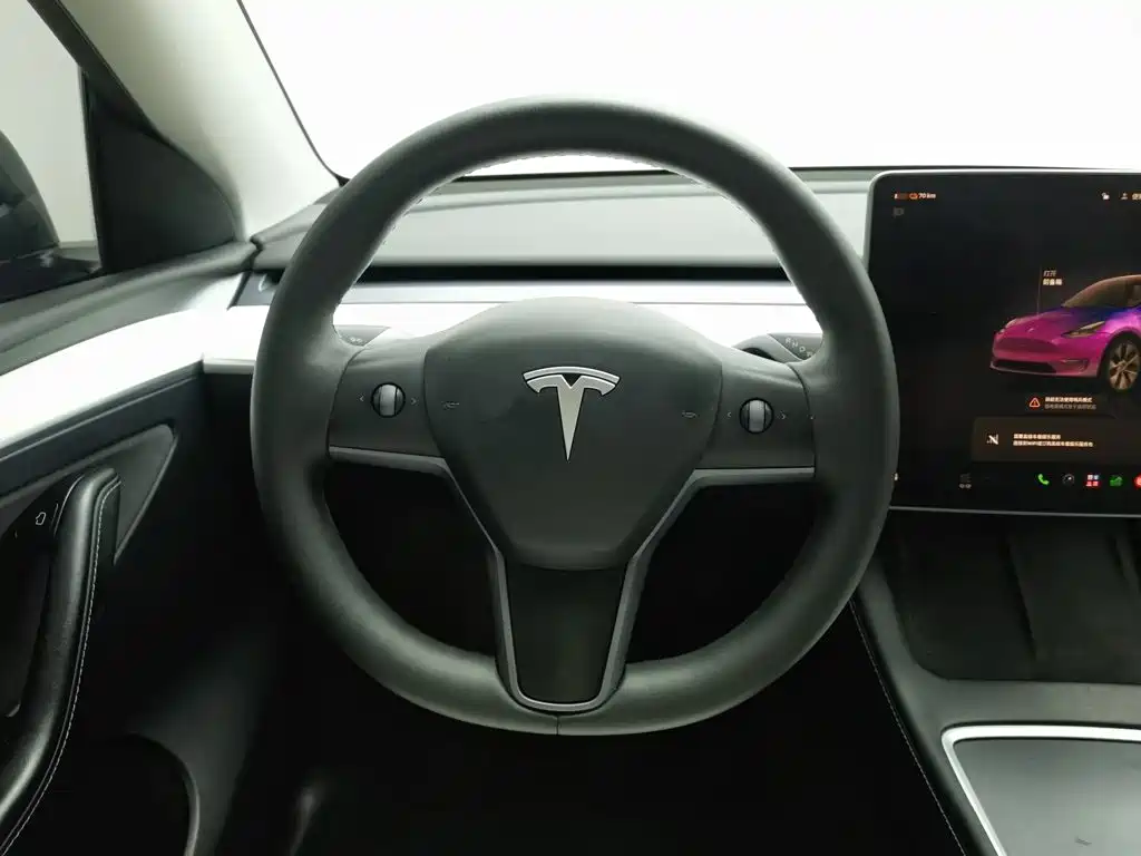 Tesla Model Y — фото 11