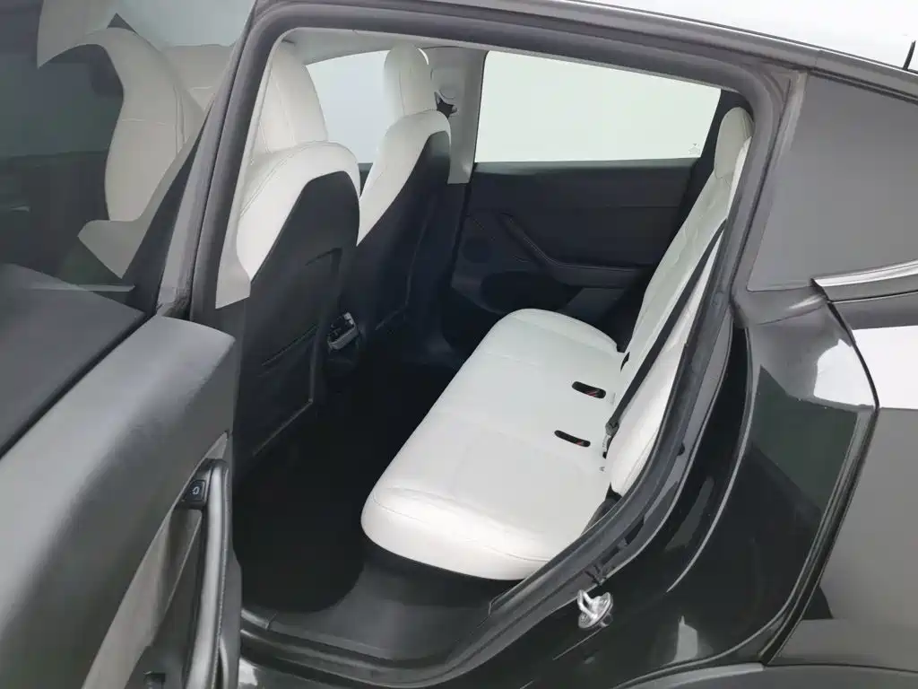 Tesla Model Y — фото 15
