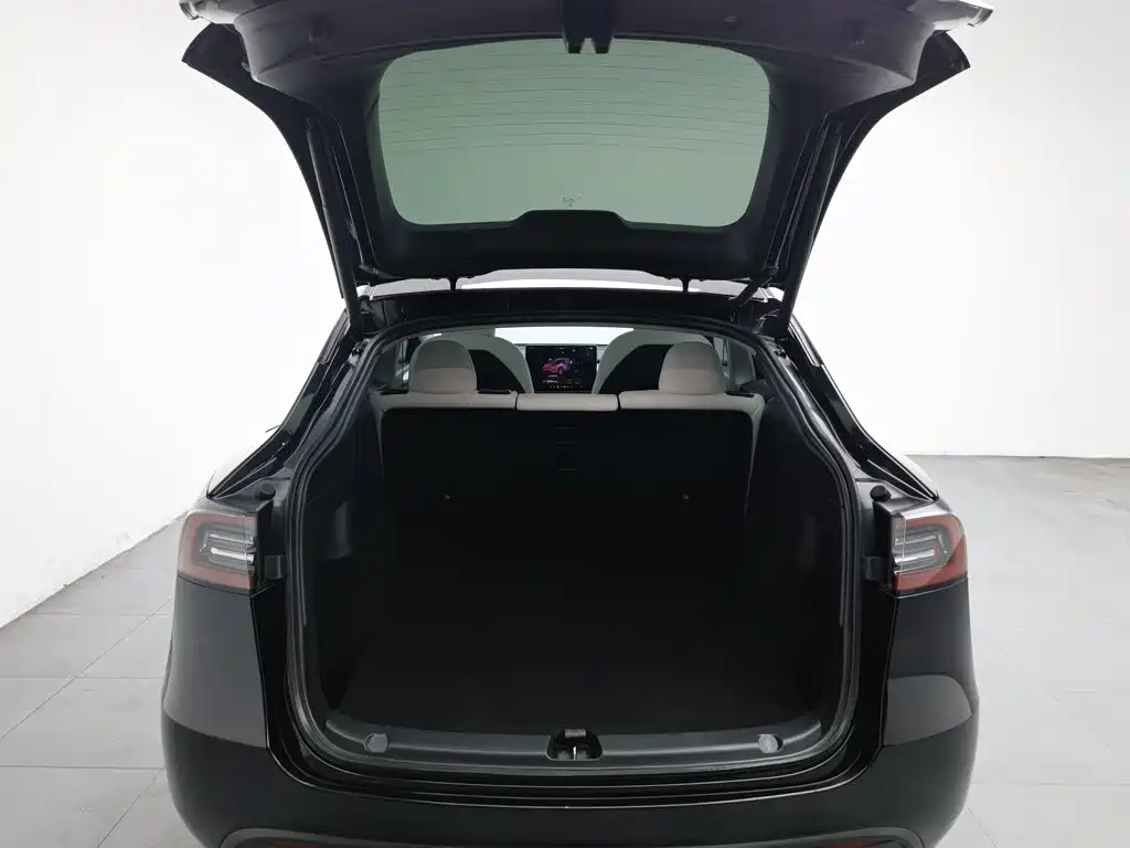 Tesla Model Y — фото 16