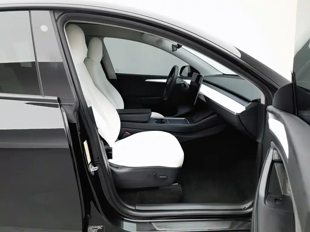 Tesla Model Y — фото 23