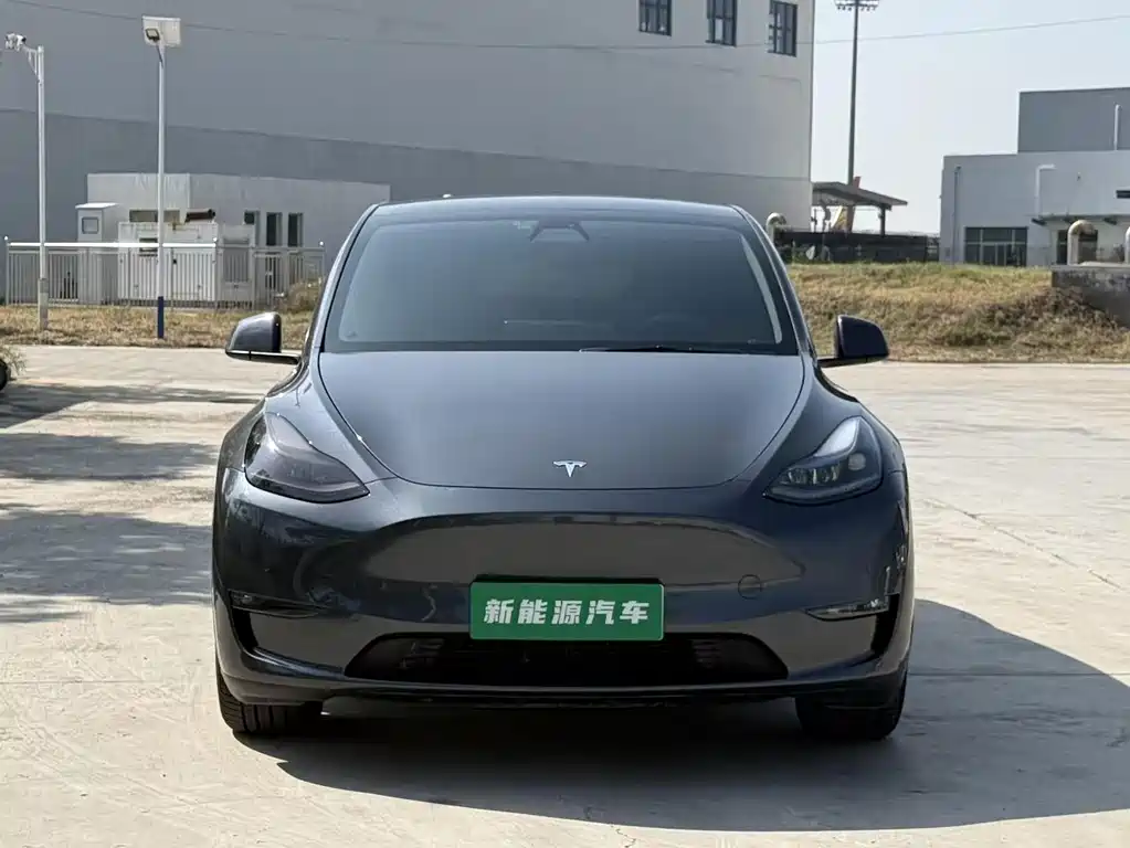 Tesla Model Y — фото 2