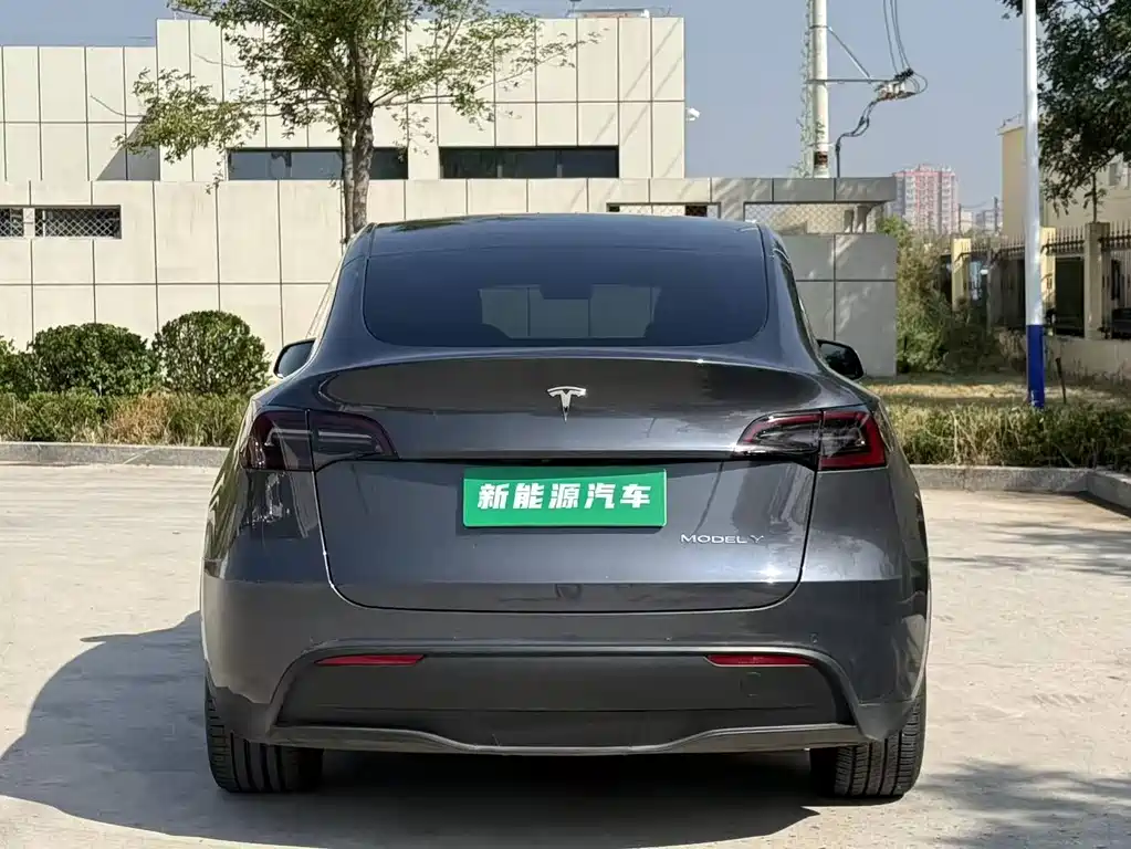 Tesla Model Y — фото 4