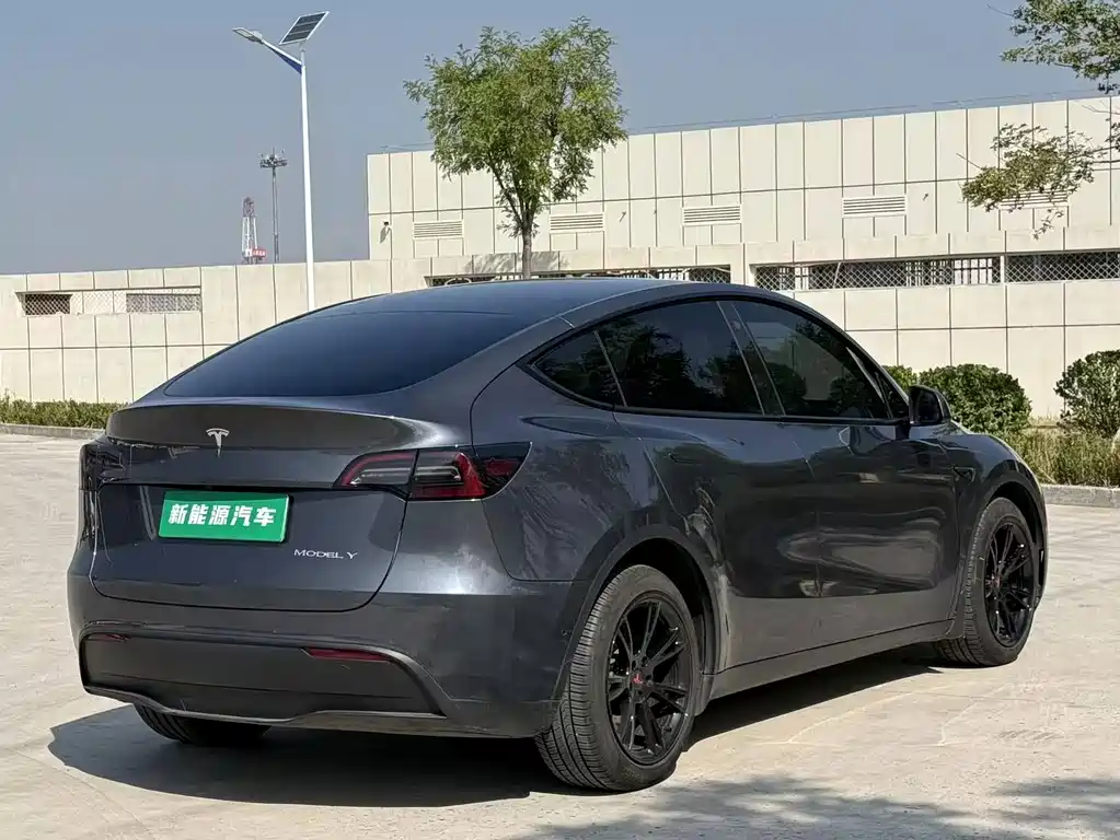 Tesla Model Y — фото 6