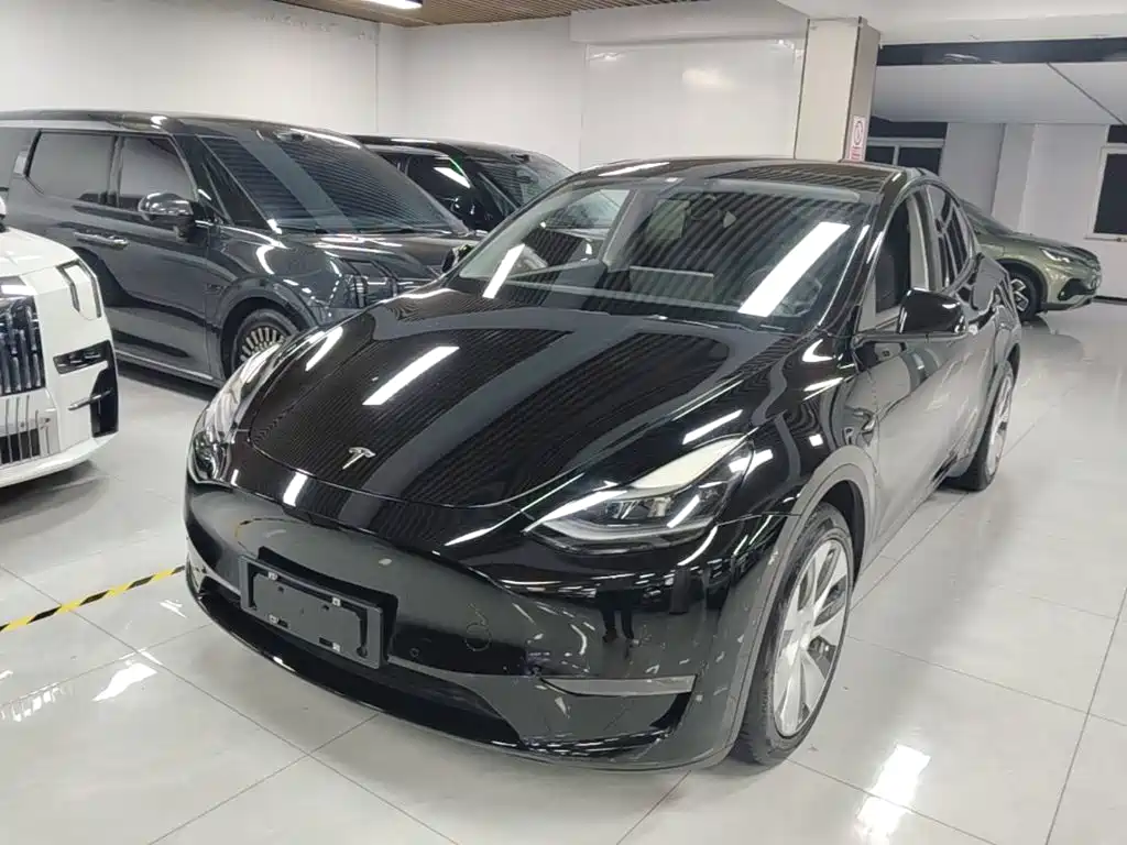 Tesla Model Y — фото 2