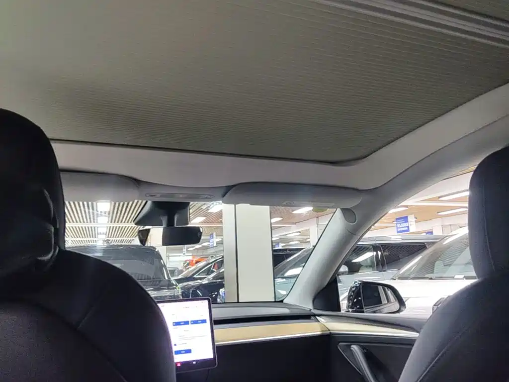 Tesla Model Y — фото 18