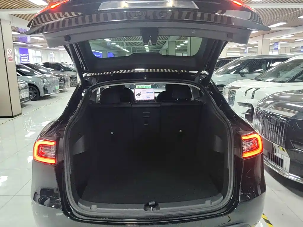 Tesla Model Y — фото 19