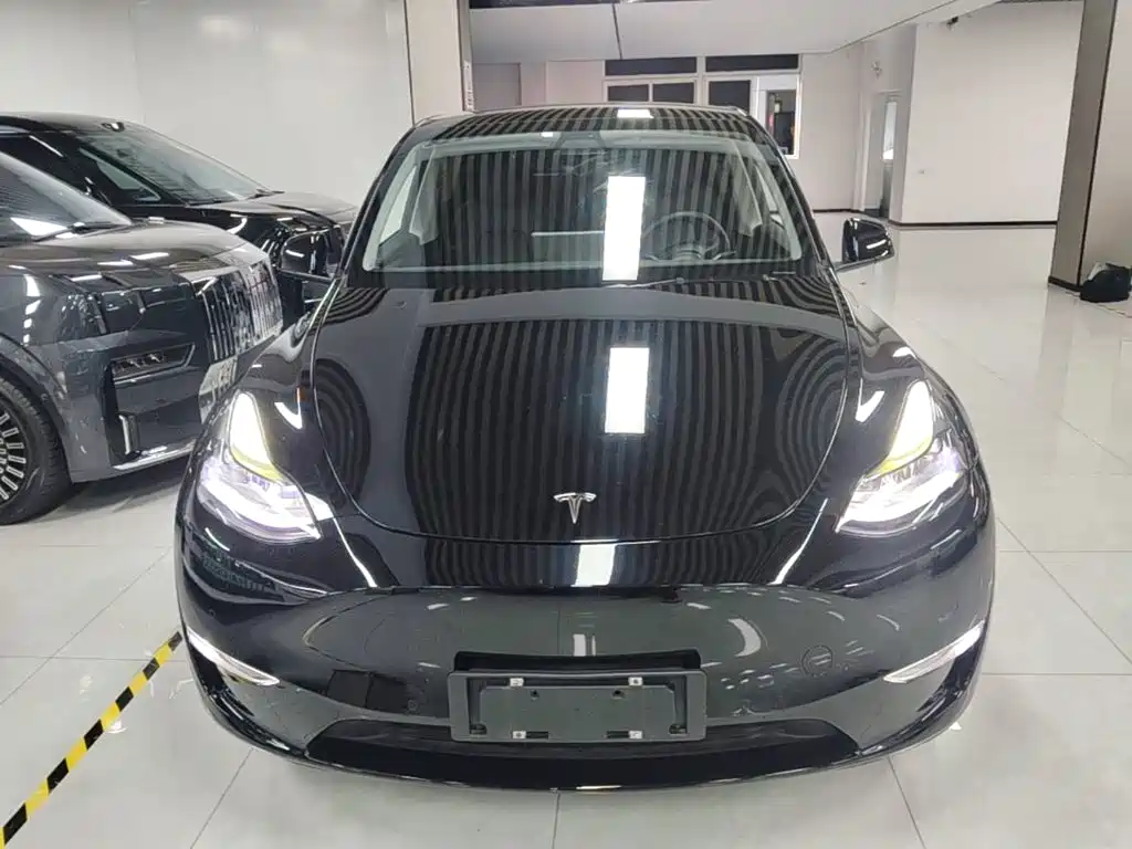 Tesla Model Y — фото 3