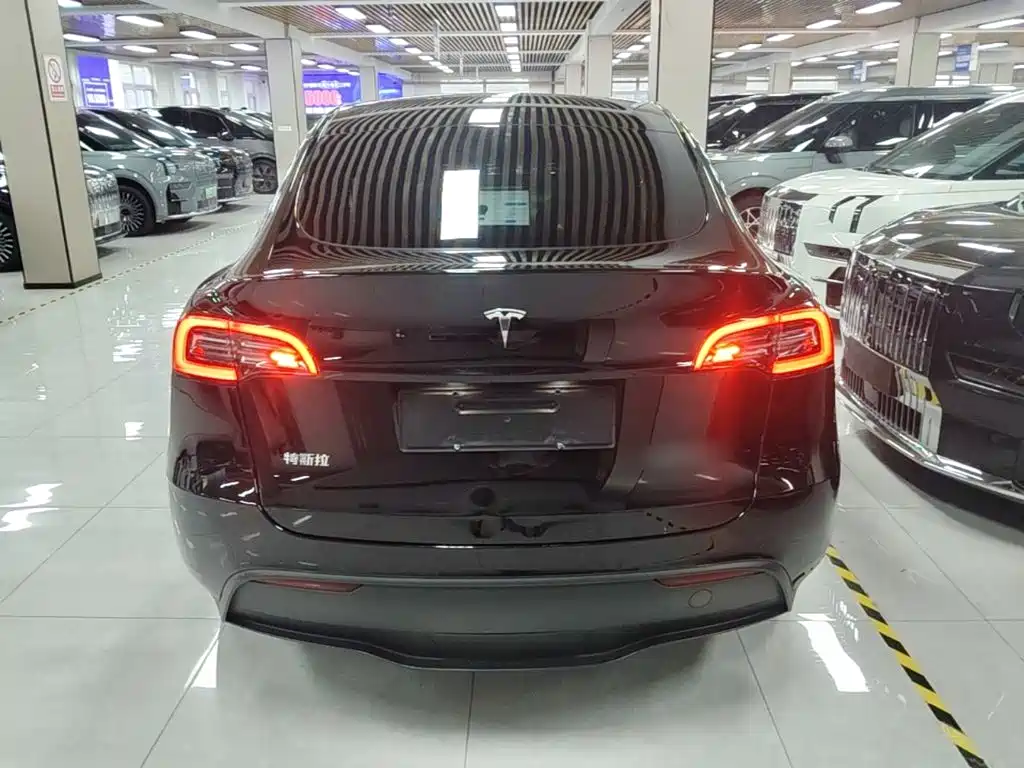 Tesla Model Y — фото 6